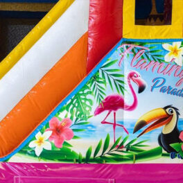 Jumpy flamant rose – Image 6