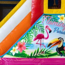 Jumpy flamant rose