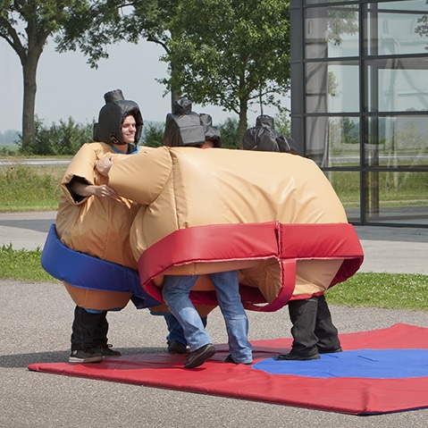 Sumos jumeaux