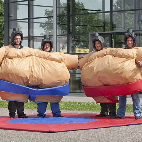Sumos jumeaux