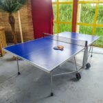 Tennis de table